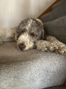 Crypto on the landing of the stair case